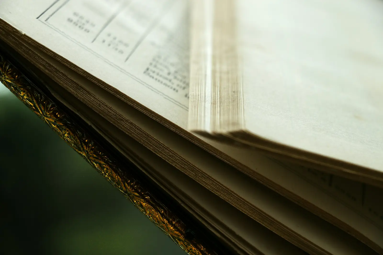 A close-up of the edge of a thick old book with its pages fanned, the printed lines too small and soft to read