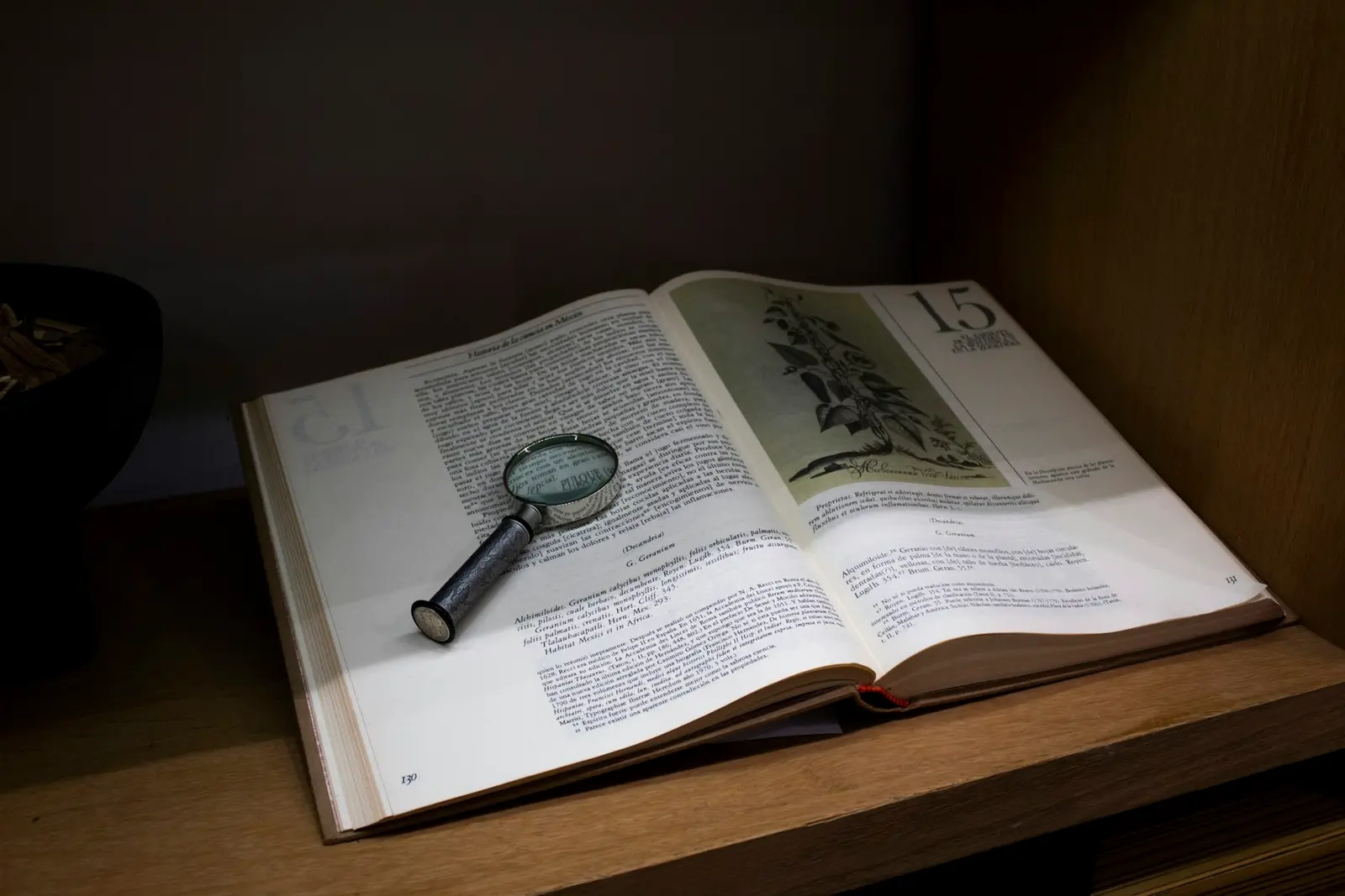 A magnifying glass resting on an open book with dense printed text and a botanical drawing, on a wooden shelf
