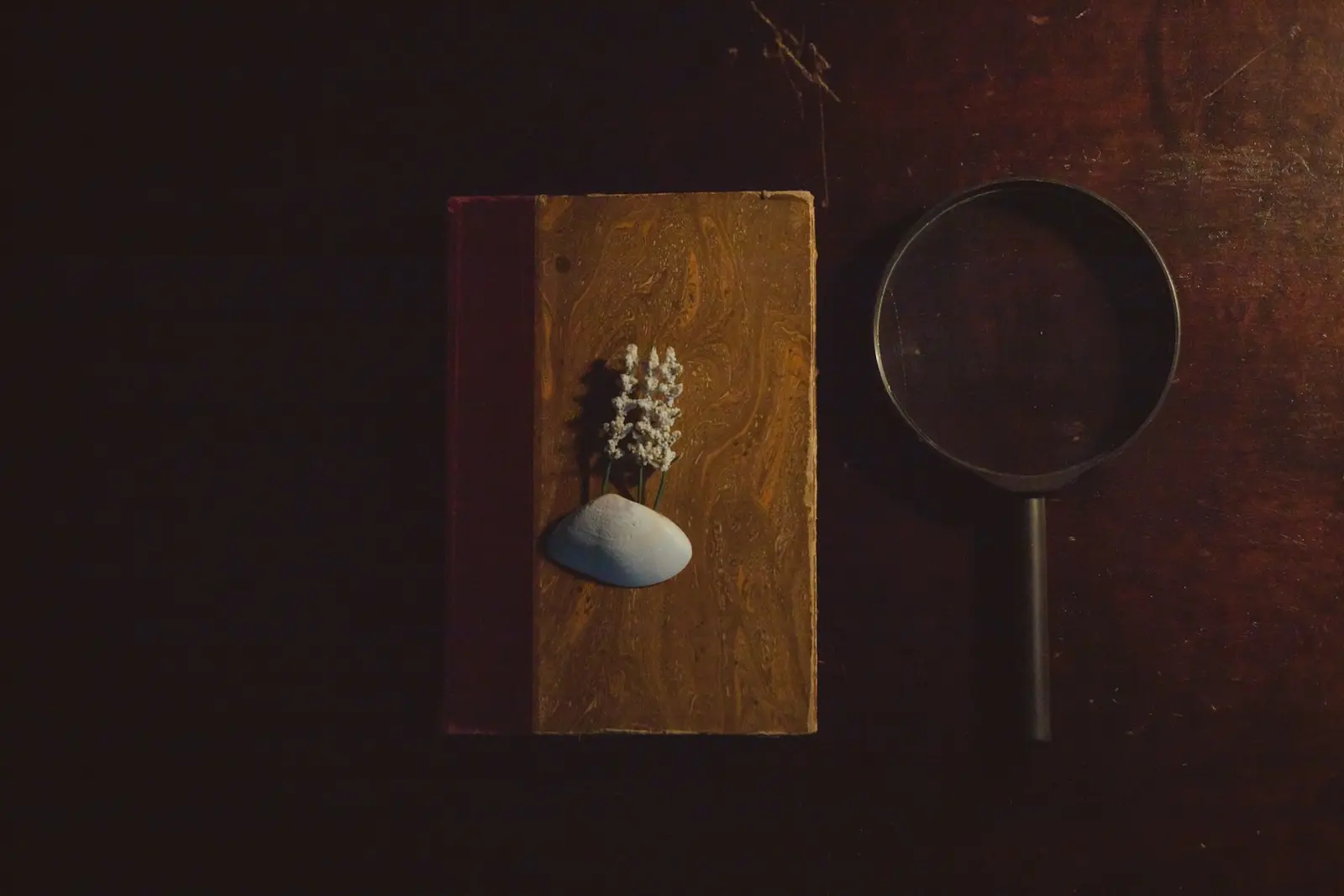 A magnifying glass lying beside a closed book with a marbled brown and ochre cover and a red spine, a sprig of dried white flowers on top, on a dark wooden table