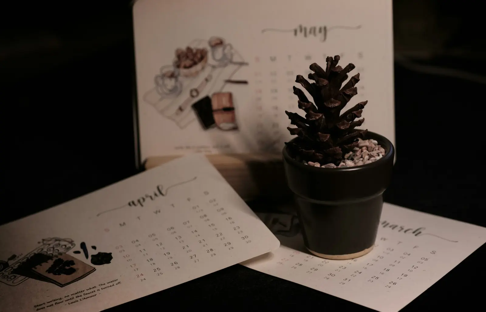 Two illustrated calendar pages with handwritten-style month names lying on a dark table beside a pine cone in a small black pot